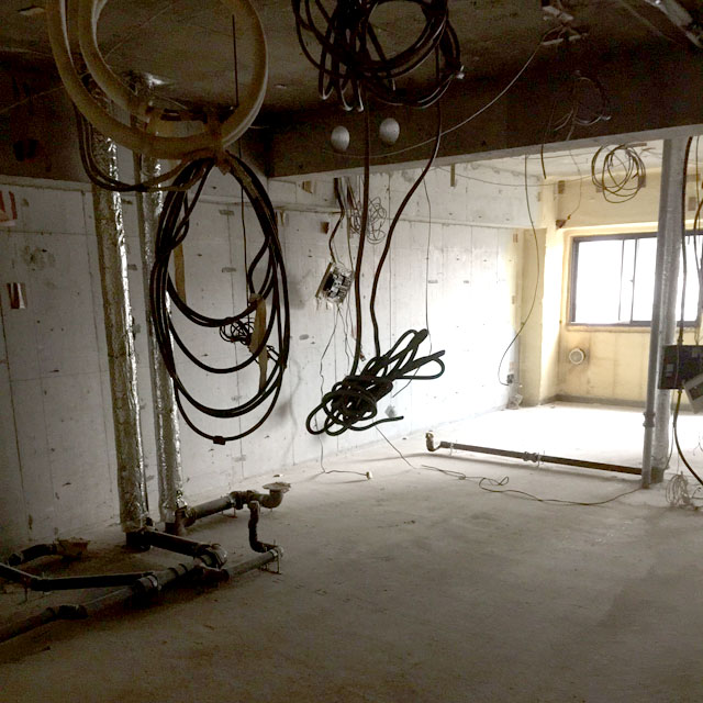 スケルトン解体5